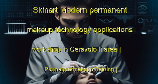 Skinart Modern permanent makeup technology applications workshop in Ceravolo Ii area | PermanentmakeupTraining | PermanentmakeupClasses | SkinartTraining-Italy